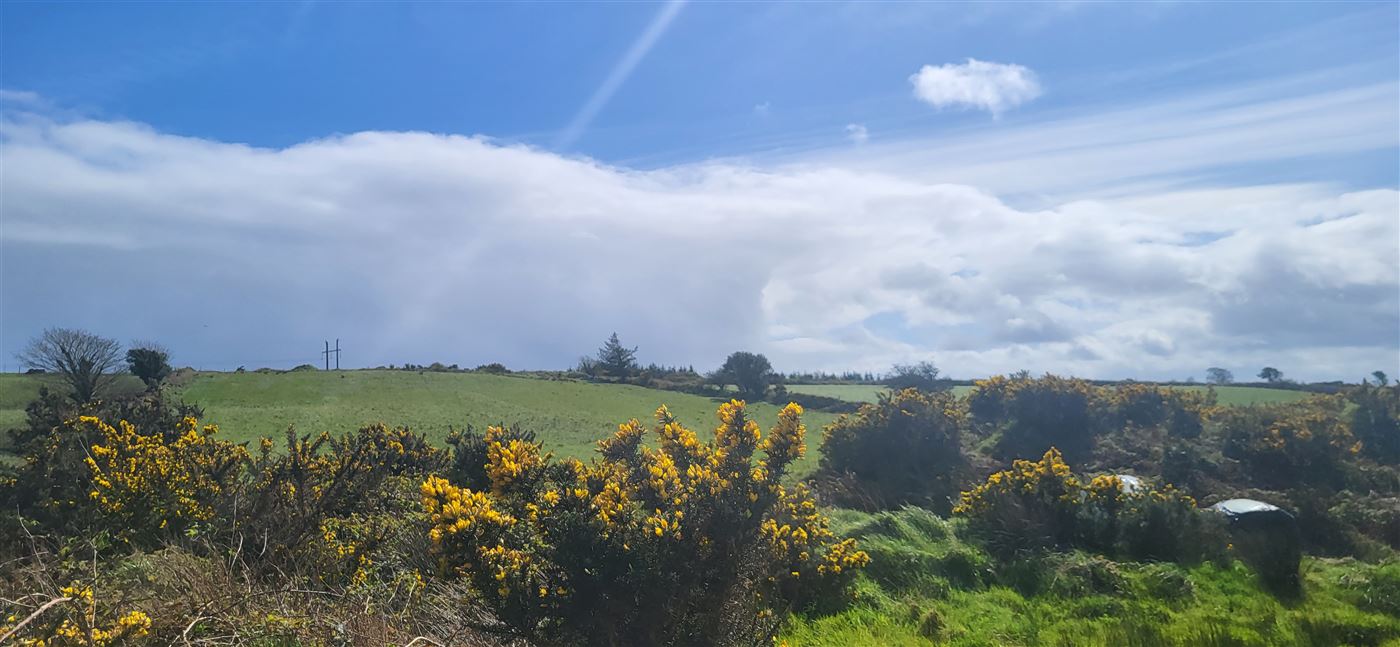 Gortnasowna, Dunmanway,   West Cork
