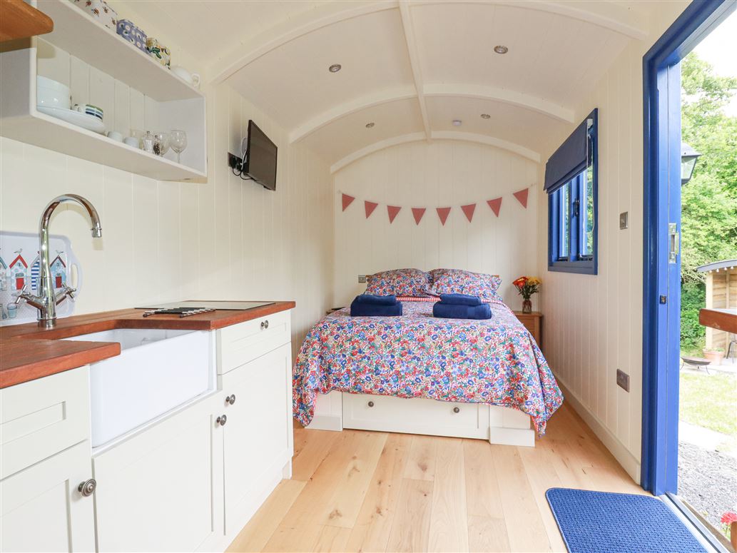 Pippin,Padstow, Cornwall, United Kingdom