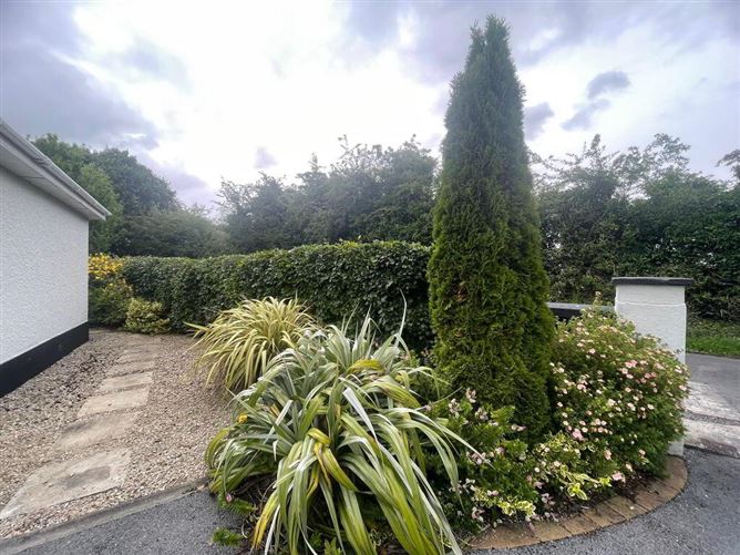 Racecourse Road, Roscommon Town, Roscommon