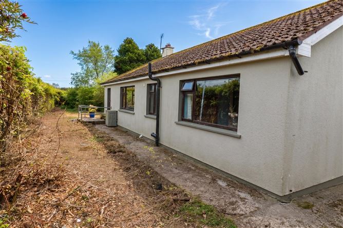 Photo 11 of 11 — Mangan, Carrick-On-Suir, Co. Tipperary