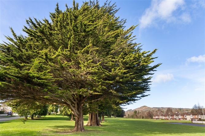 Photo 14 of 18 — 20 Connawood Copse, Old Connawood, Bray, Co. Wicklow