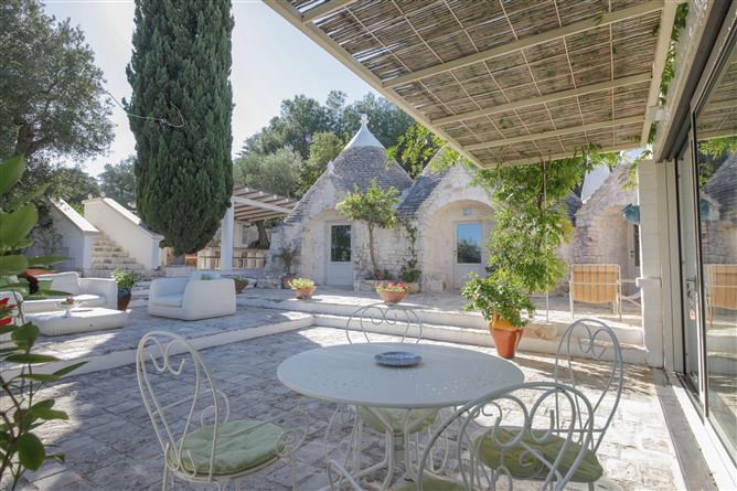 Olive Orchard Oasis,Virbo,Apulia,Italy