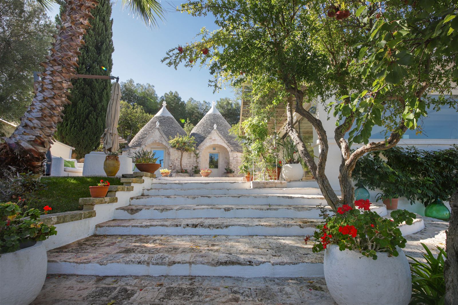 Photo 1 of 5 — Olive Orchard Oasis,Virbo,Apulia,Italy