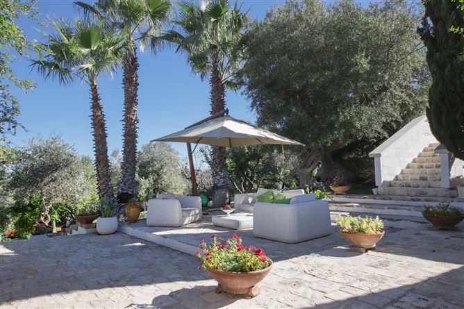 Olive Orchard Oasis,Virbo,Apulia,Italy