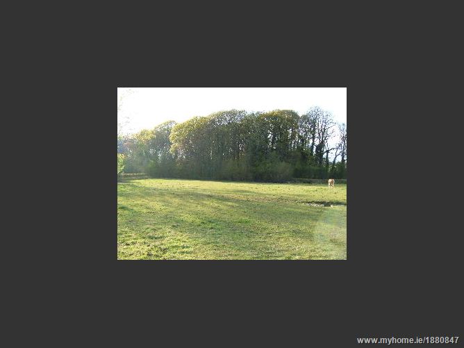 Photo 9 of 10 — Athronan, Dunsany, Co. Meath