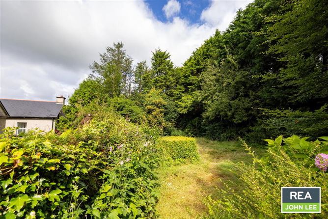 Rosehill, Newport, Tipperary