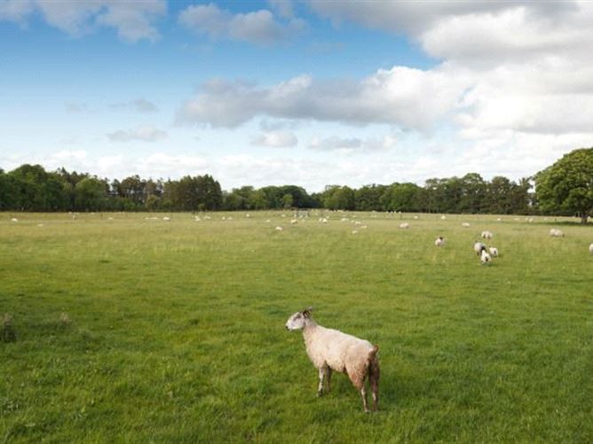 Partry House, Partry, Co. Mayo