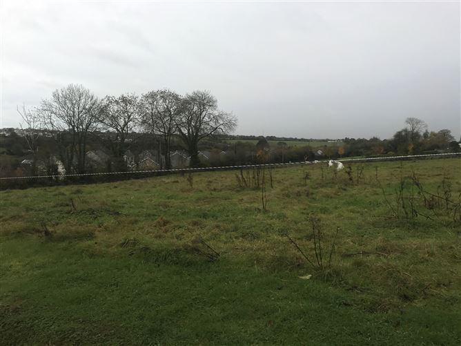 C. 1.2 acre site at Slievenagorea, The Ballagh, Wexford