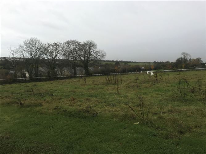 cluain, c. 1.2 acre site at slievenagorea, the ballagh, co. wexford