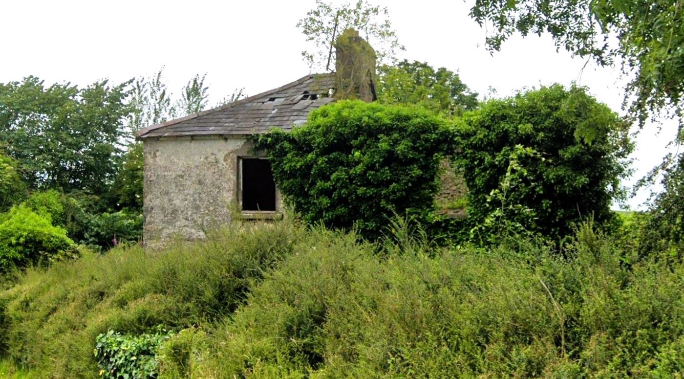 Derelict Property at Mills Lane, Granard, Longford