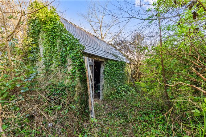 Photo 14 of 18 — Castleworkhouse, Saltmills, Co. Wexford