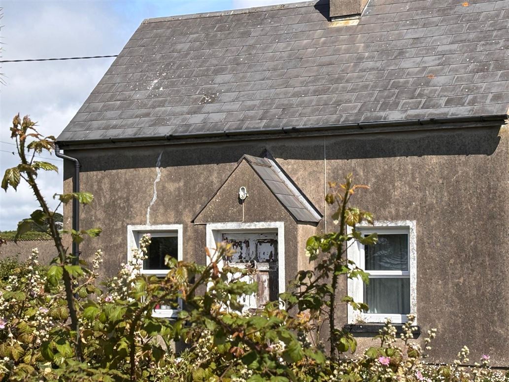 Tacumshin, Tomhaggard, Wexford