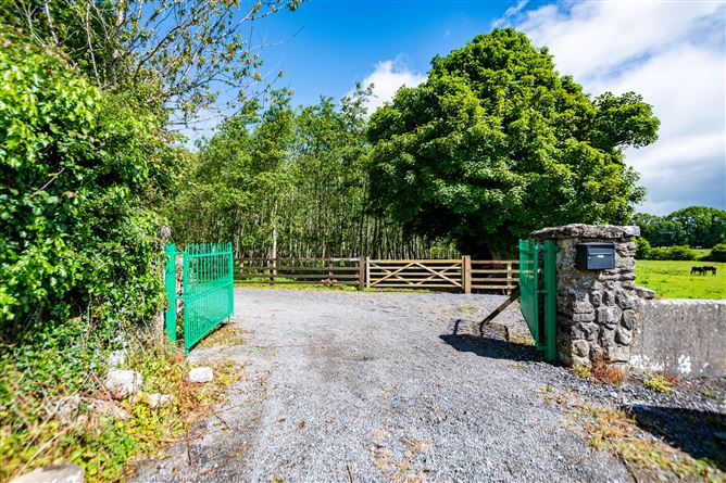 Teach Duinn Shleibhe, Adamstown, Geoghegan, Westmeath