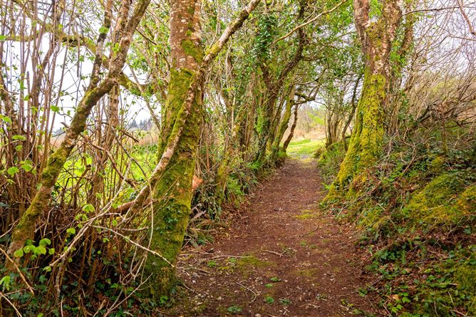 Ard NaHoo, Dromahair, Co. Leitrim