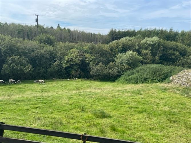 Ballymakea Beg, Mullagh, Clare