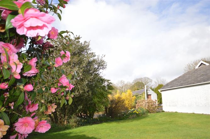 Johnstown, Arklow, Wicklow