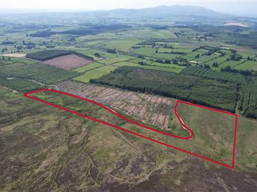 Image for Lot 2, Bleantis , Ballinamult, Waterford