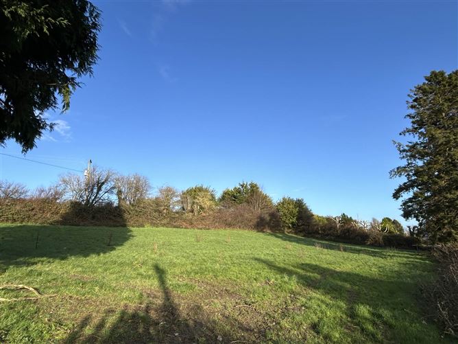 Ballypreacus, Bunclody, County Wexford