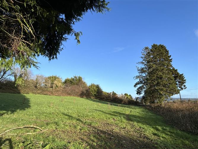 Ballypreacus, Bunclody, County Wexford