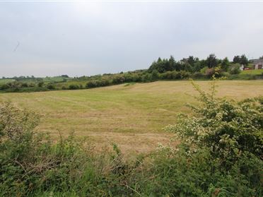 Image for Site 1, Carrickaveilty, Aughnamullen, Castleblayney, Monaghan