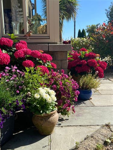 Carraig Bawn, Hillside Road, Wicklow, Co. Wicklow