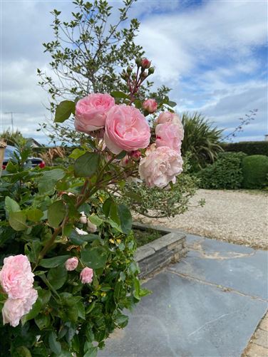 Carraig Bawn, Hillside Road, Wicklow, Co. Wicklow