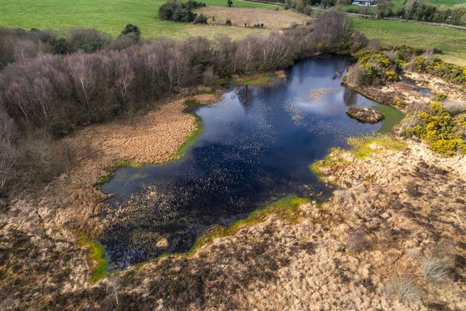 Clonagh, Rhode, Co. Offaly