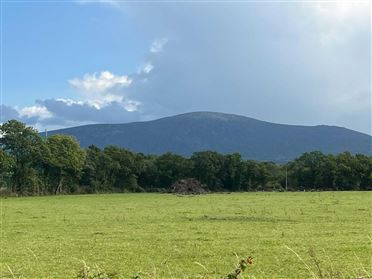 Image for Ballynagrane (C.1 Acre Site), Borris, County Carlow