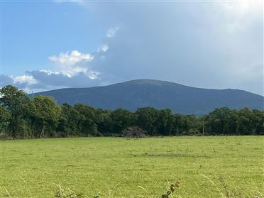 Image for Ballynagrane, Borris, Carlow