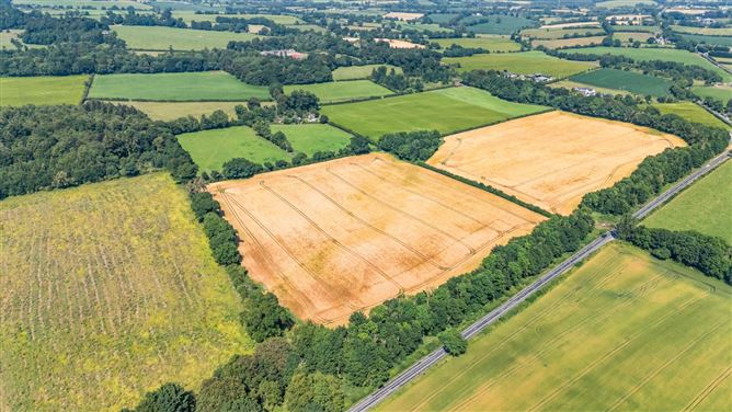 Land & Cottage At Lisnavagh, Lisnavagh, Co. Carlow