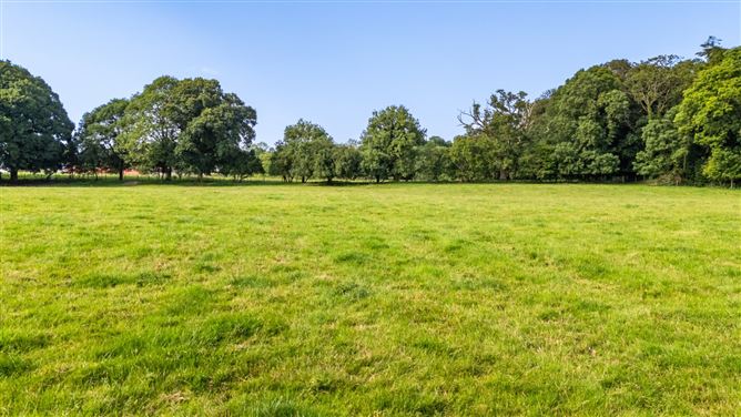 Photo 11 of 16 — Land & Cottage At Lisnavagh, Lisnavagh, Co. Carlow