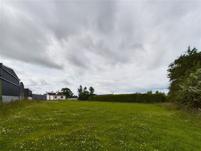 Oldtown, Nurney, Nurney, Carlow