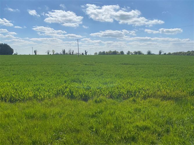 Kilbride Road, Kilbride, Meath