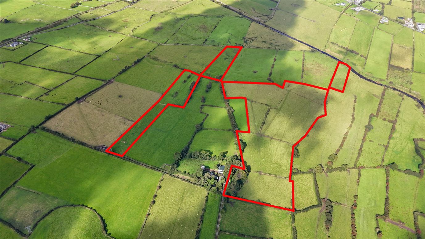 19.23 Acres Of Land In Lehid, Lehid, Tuam, Co. Galway