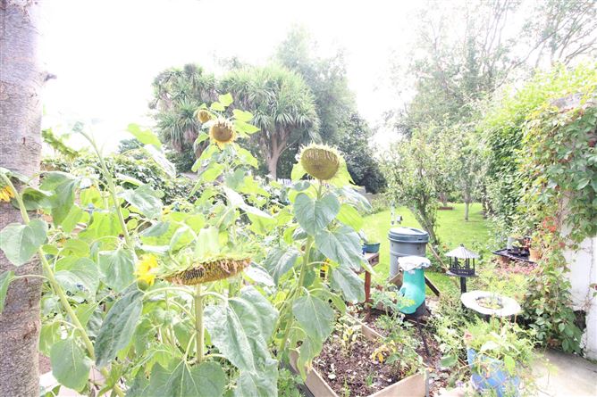 40 Hayestown, Rush, Co. Dublin