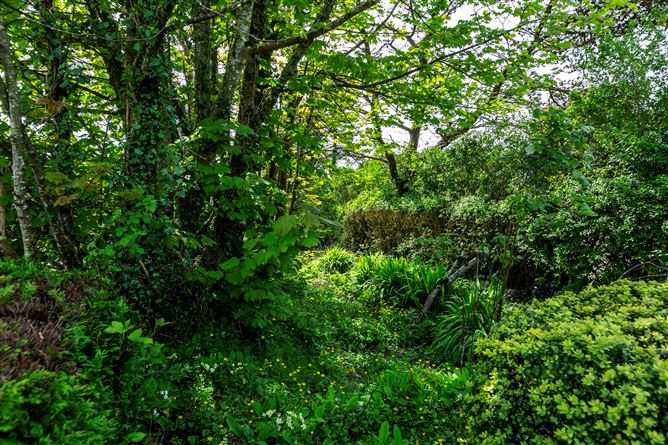 Aughfad, Taghmon, Wexford