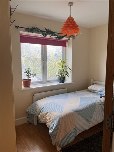 Galway Single Wellpark Arty Cozy, Co. Galway