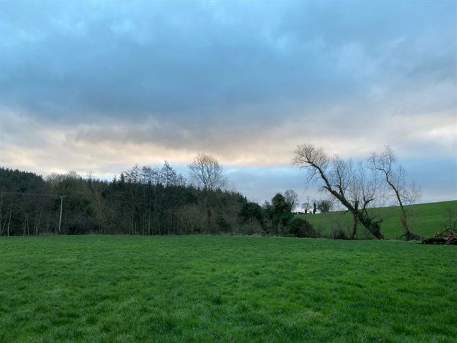Exceptional c.1.36acre Site at Hillhall, Glaslough, Monaghan