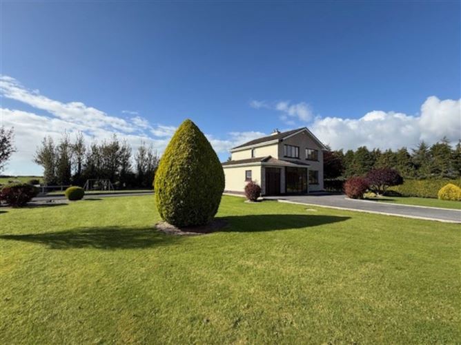 Moyleen, Loughrea, County Galway