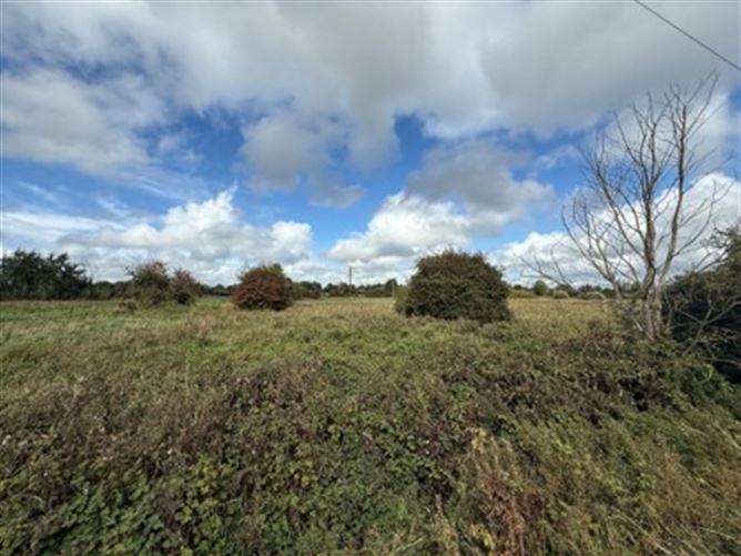 Lullymore Road, Allenwood South, Co. Kildare