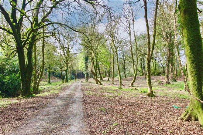 Ballyvoureen, Limerick