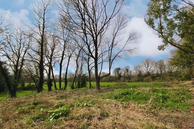 Ballyvoureen, Limerick