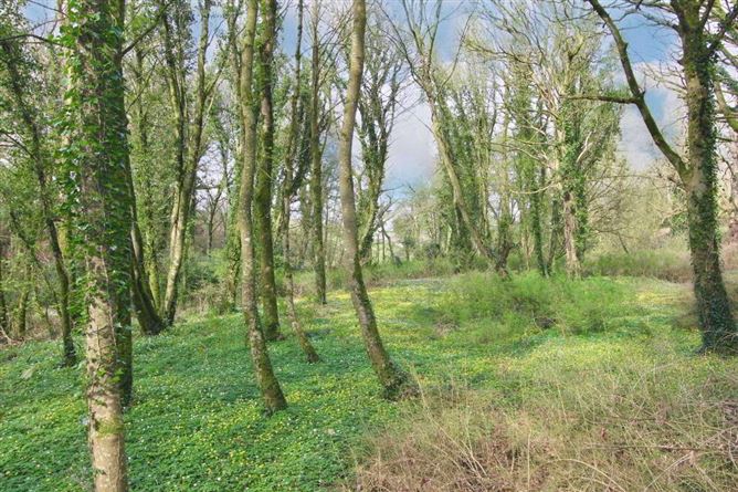 Ballyvoureen, Limerick