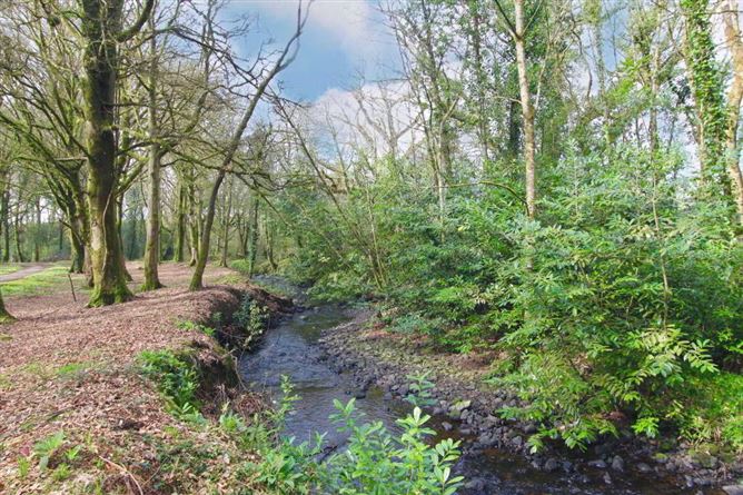 Ballyvoureen, Limerick