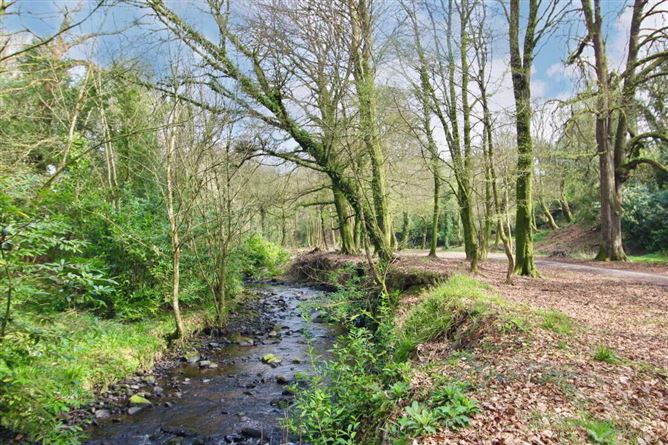 Ballyvoureen, Limerick