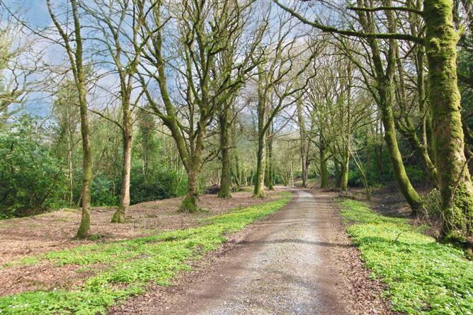 Ballyvoureen, Limerick