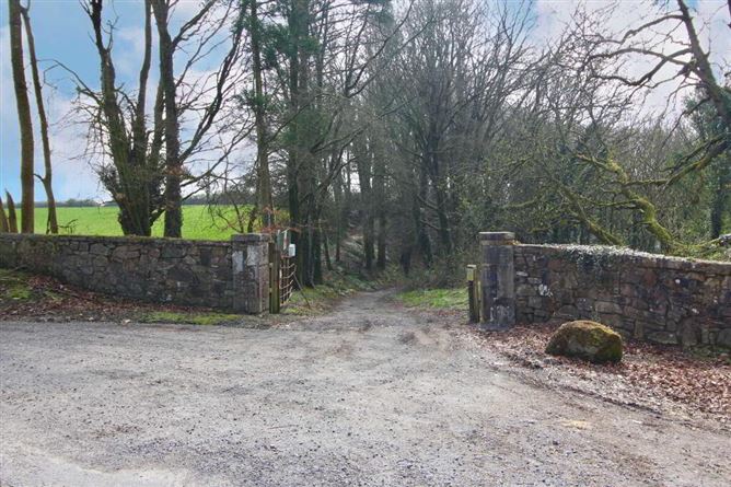 Ballyvoureen, Limerick