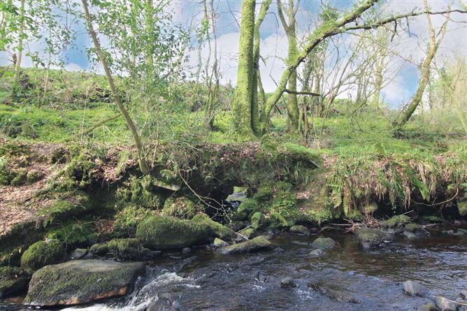 Ballyvoureen, Limerick