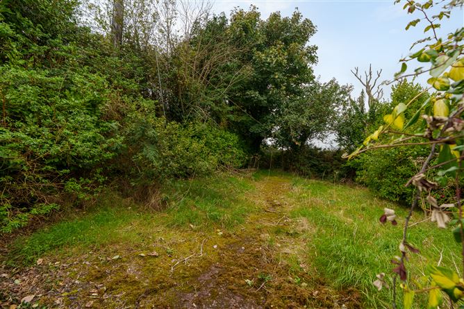 Gorse Hill, Ballybraher , Ballycotton, Cork