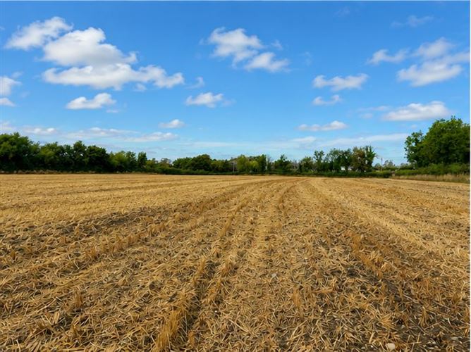 c. 21 Acres, Blackchurch & Tuckmilltown, Kill, Kildare